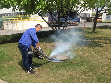 沙头病媒生物防控——绿化带防治四害怎么做