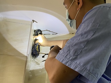 丹灶专业治白蚁机构住宅防白蚁，这几步千万不能少！