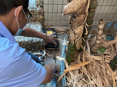 南海白蚁备案所：秋季白蚁防治正确方法